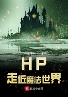 《HP走近魔法世界》