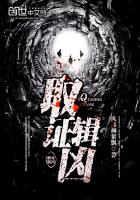 《取证辑凶》