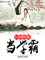 《回到明朝当学霸》