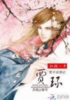 《红楼一梦之贾环》