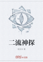 《二流神探》