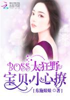 《BOSS太狂野：宝贝，小心撩》