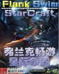 《弗兰克畅游星际争霸》