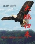 《大鹏归来》
