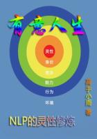 《有意人生之NLP的灵性修炼》