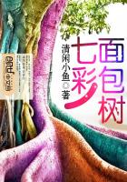 《七彩面包树》