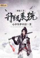 《神级王者升级系统》