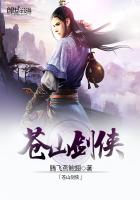 《苍山剑侠》